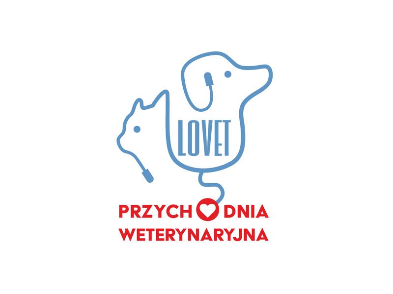 projektowanie-stron-internetowych-lublin-kraśnik
